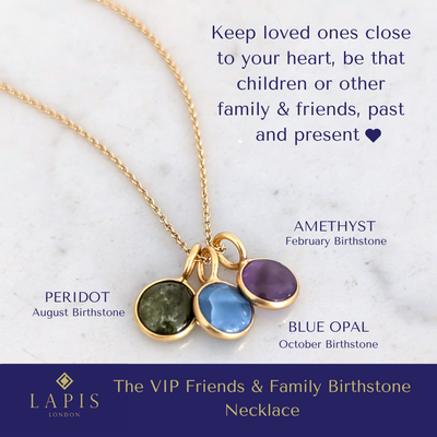 The VIP Friends & Family Birthstone Necklace