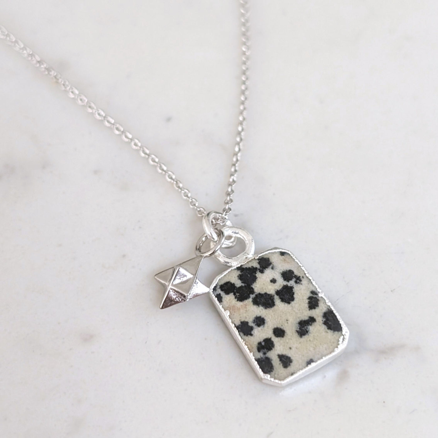 The Duo Dalmatian Jasper Necklace